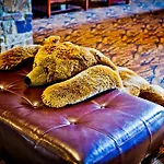 Regency Lodge Omaha