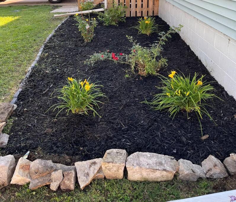 Holiday home Benson. Cozy Pet Friendly Living. No Pet Fees. Omaha