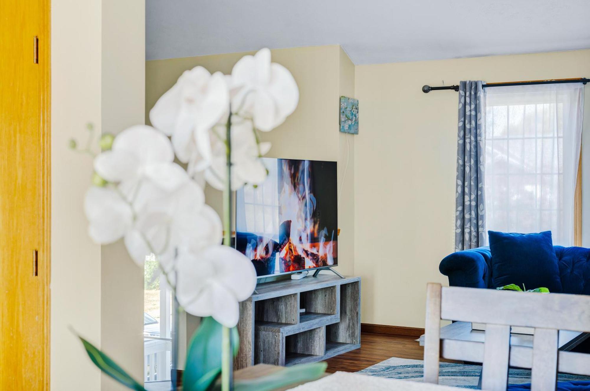 Pet Friendly,3 Queen Beds, One-full Bed With Fast Free Wifi * Omaha