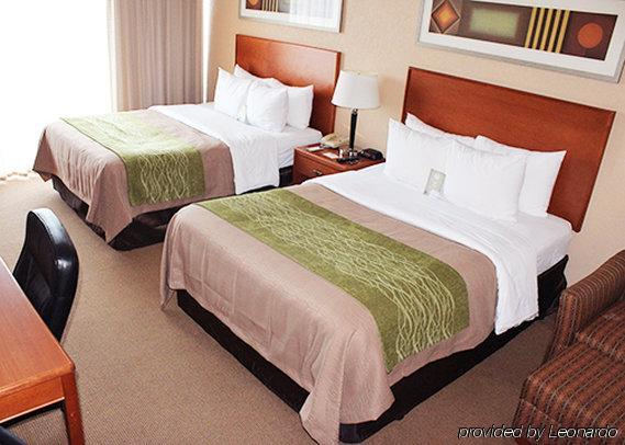 Hotel Comfort & 3*
