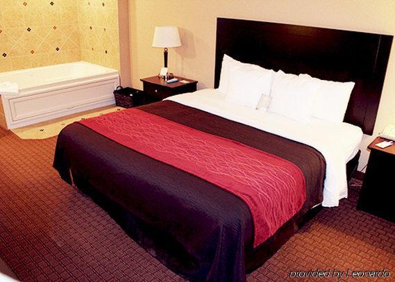Comfort & Hotel