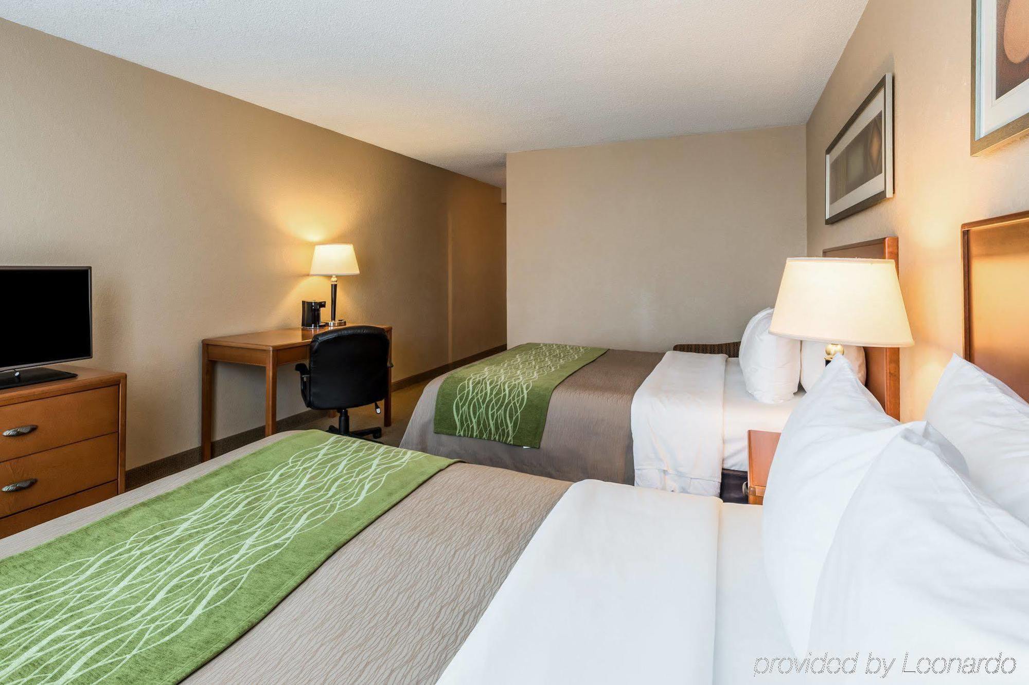 Comfort & Hotel