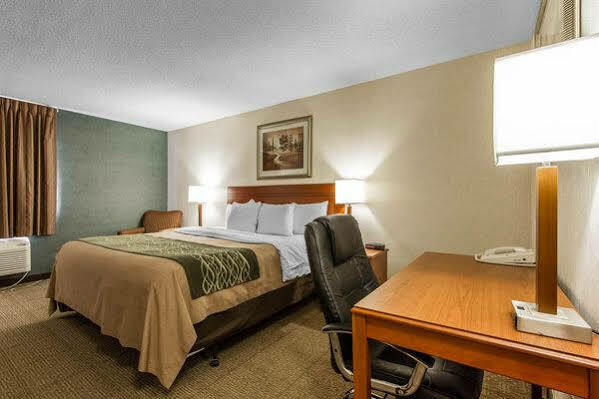 The & Near Zoo Hotel Omaha